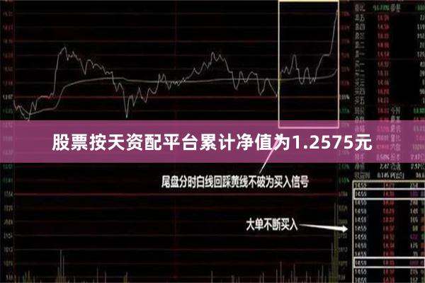股票按天资配平台累计净值为1.2575元