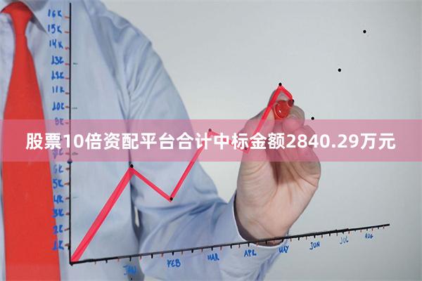 股票10倍资配平台合计中标金额2840.29万元
