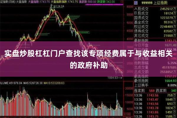 实盘炒股杠杠门户查找该专项经费属于与收益相关的政府补助